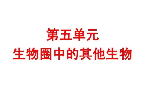 新人教版七年级上册第一章第一节腔肠动物和扁形动物》课件