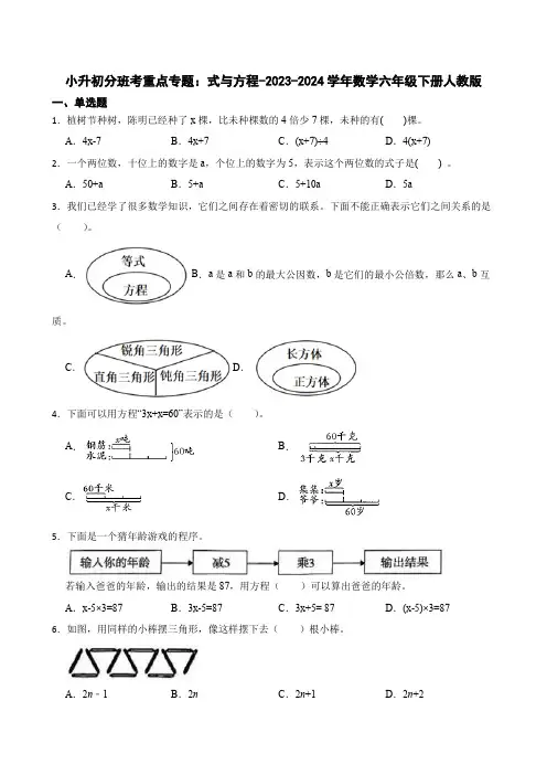 小升初分班考重点专题：式与方程(专项训练)-2023-2024学年数学六年级下册人教版