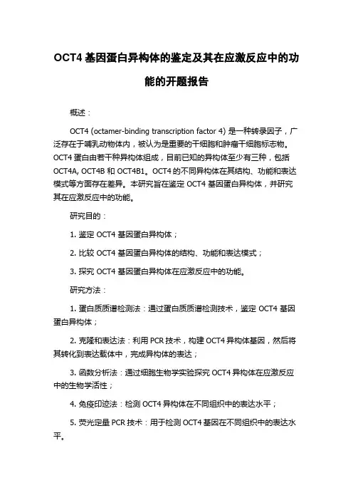 OCT4基因蛋白异构体的鉴定及其在应激反应中的功能的开题报告
