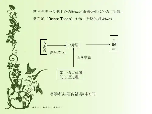 中介语理论研究