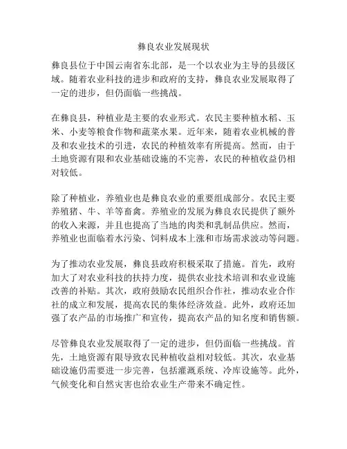 彝良农业发展现状