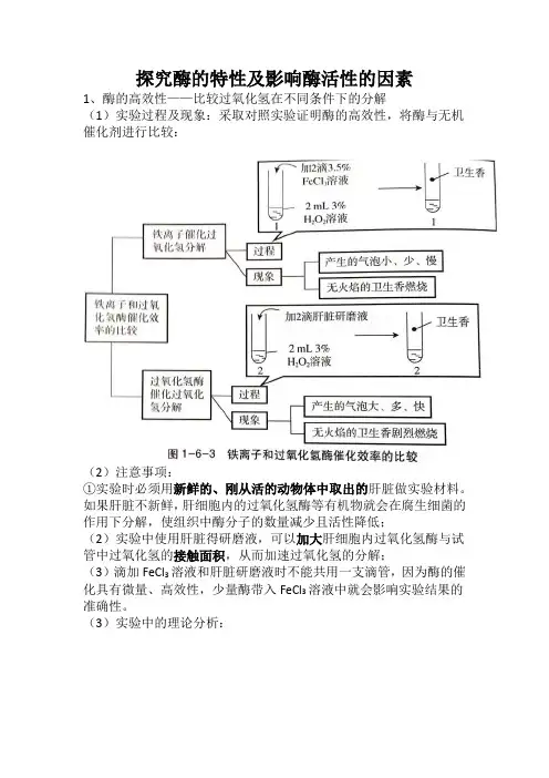 高三生物一轮复习探究酶的特性及影响酶活性的因素
