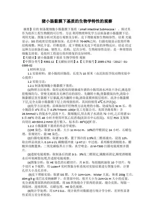 猪小肠黏膜下基质的生物学特性的观察