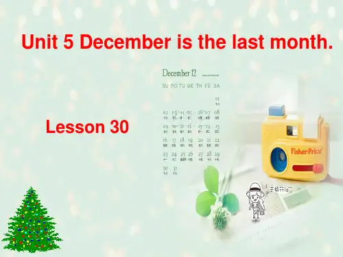 人教精通英语六年级上Unit5Julyistheseventhmonth(Lesson30)