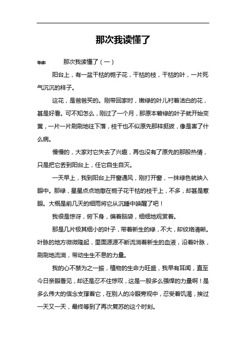 那次我读懂了