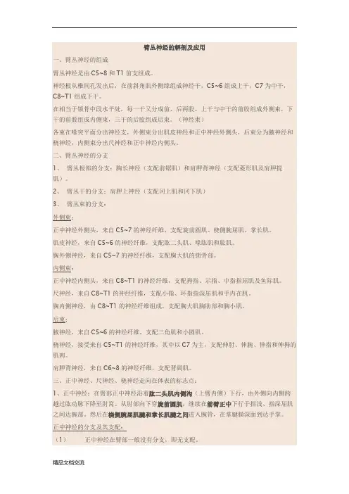臂丛神经解剖