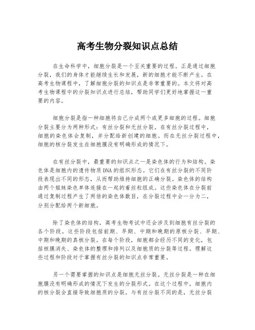 高考生物分裂知识点总结