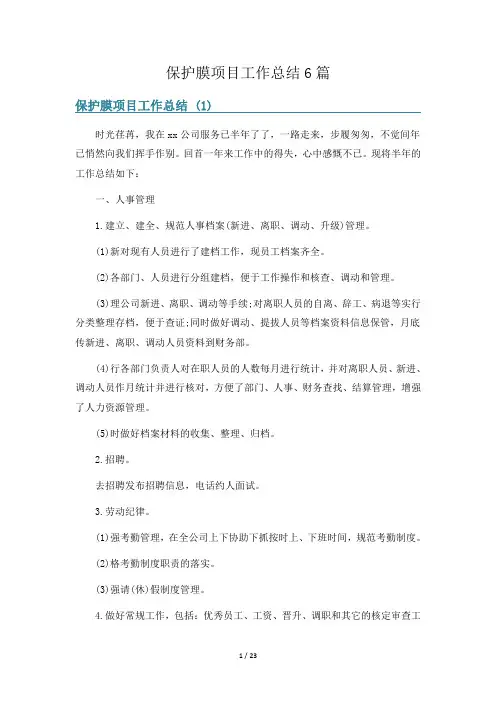 保护膜项目工作总结6篇