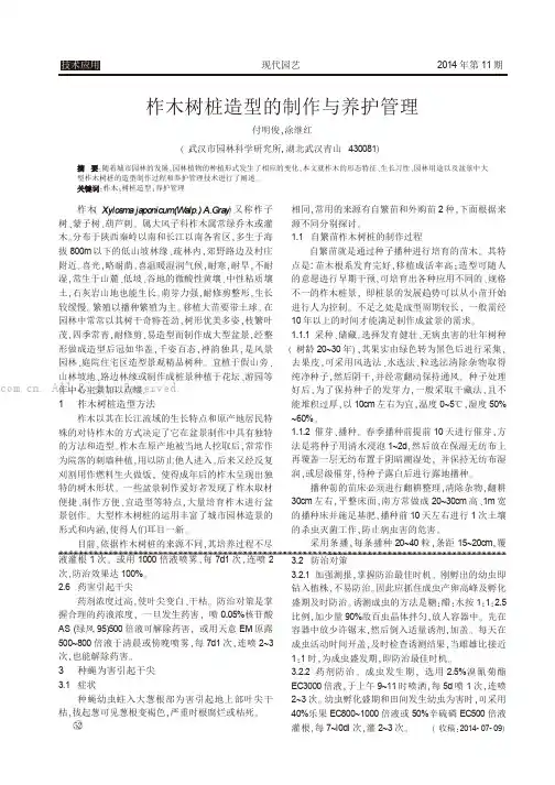 柞木树桩造型的制作与养护管理