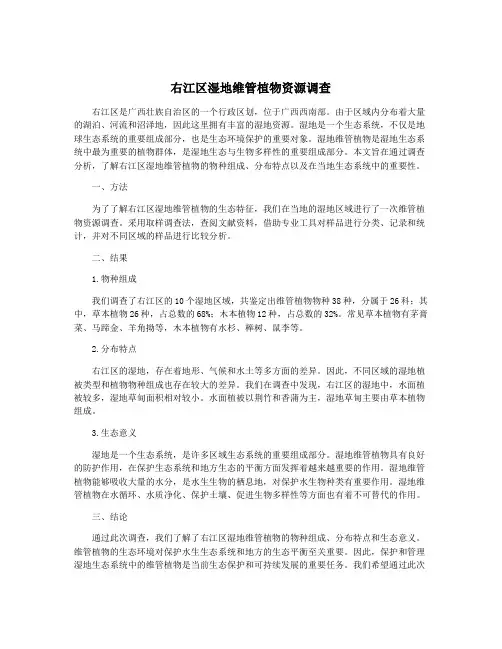 右江区湿地维管植物资源调查