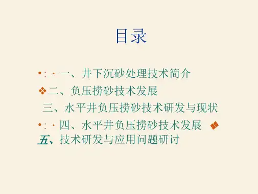 水平井捞砂技术
