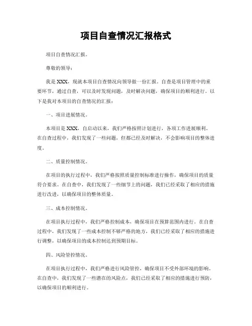 项目自查情况汇报格式