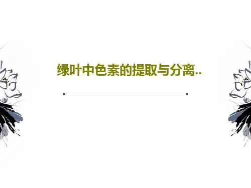 绿叶中色素的提取与分离..30页PPT