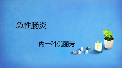 肠炎 ppt课件