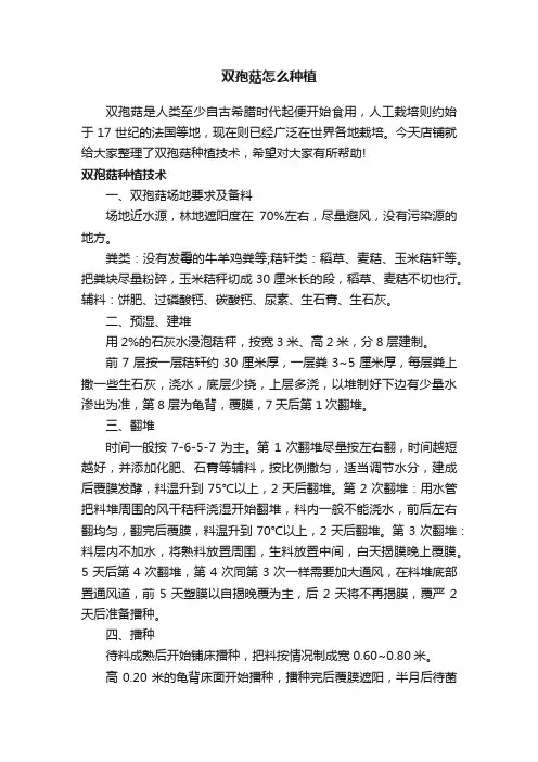 双孢菇怎么种植
