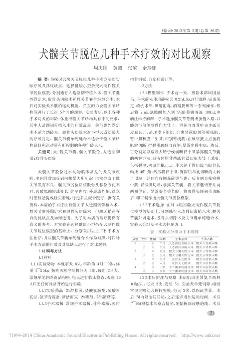 犬髋关节脱位几种手术疗效的对比观察_周庆国