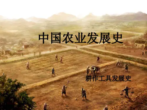古代耕作工具的发展优秀PPT