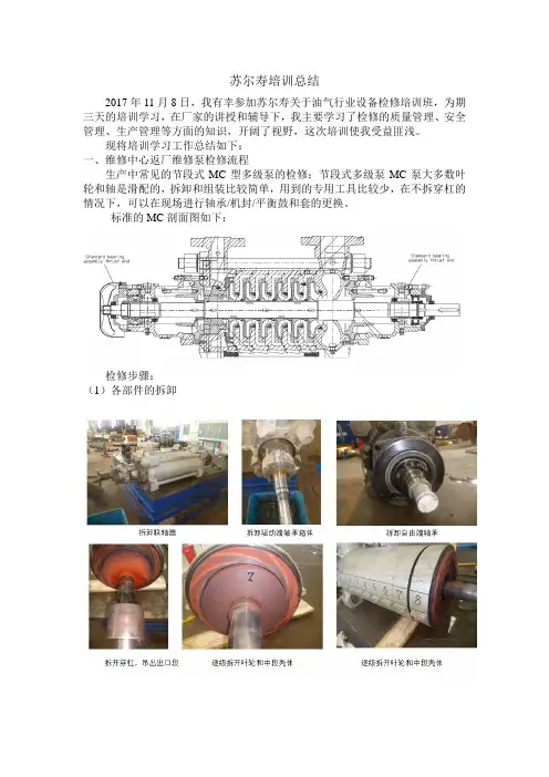 苏尔寿培训总结