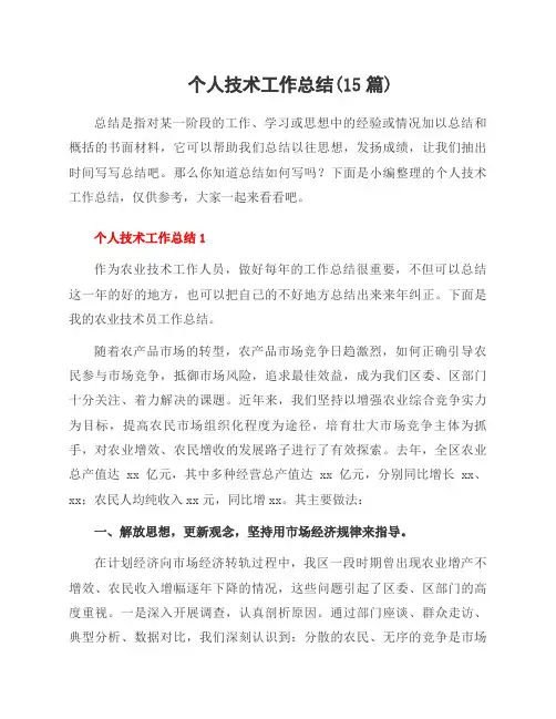 个人技术工作总结(15篇)