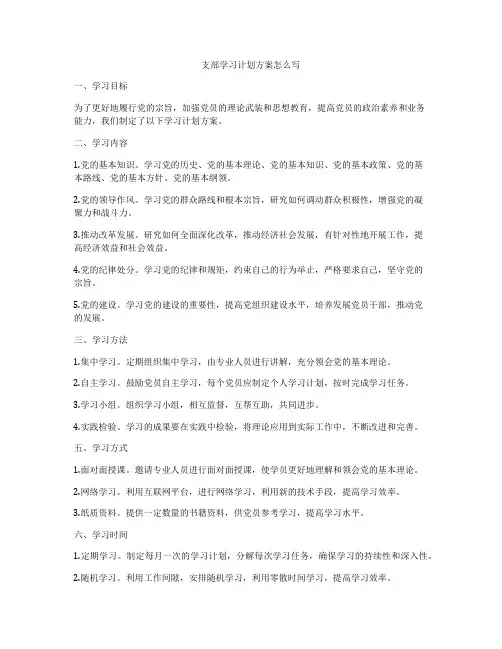支部学习计划方案怎么写