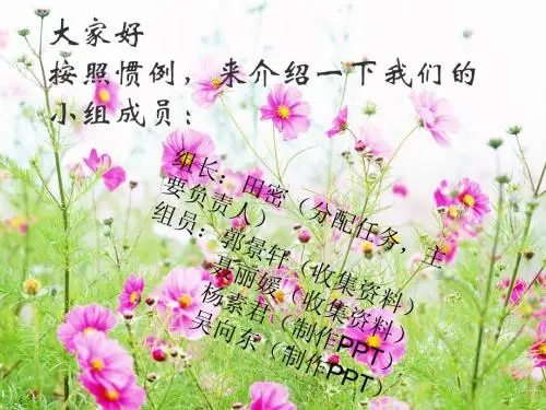 云安全PPT