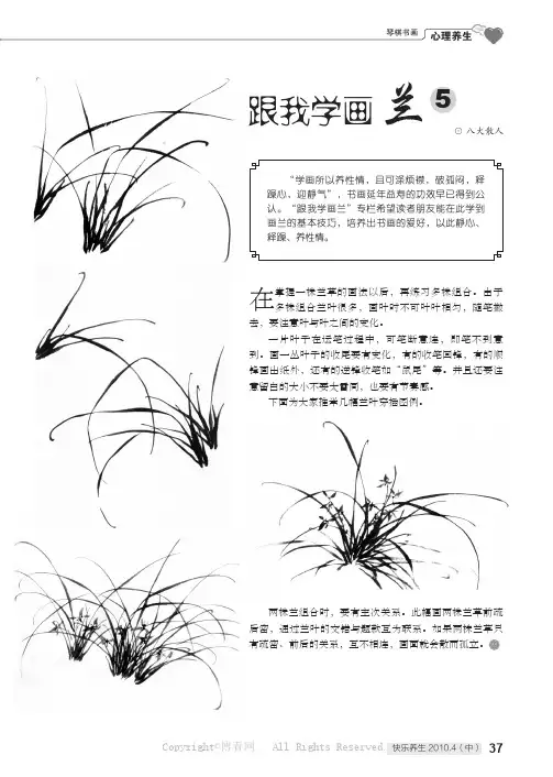 跟我学画兰（5）