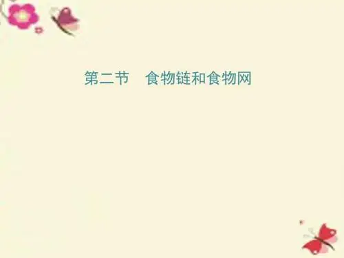 济南版生物八下6.2.2《食物链和食物网》ppt课件1