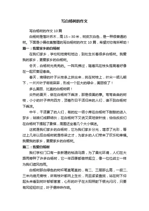 写白杨树的作文10篇