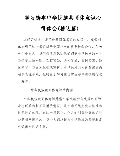 学习铸牢中华民族共同体意识心得体会(精选篇)