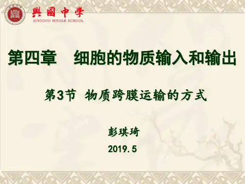 细胞膜(1)细胞膜的结构、物质通过细胞膜的方式