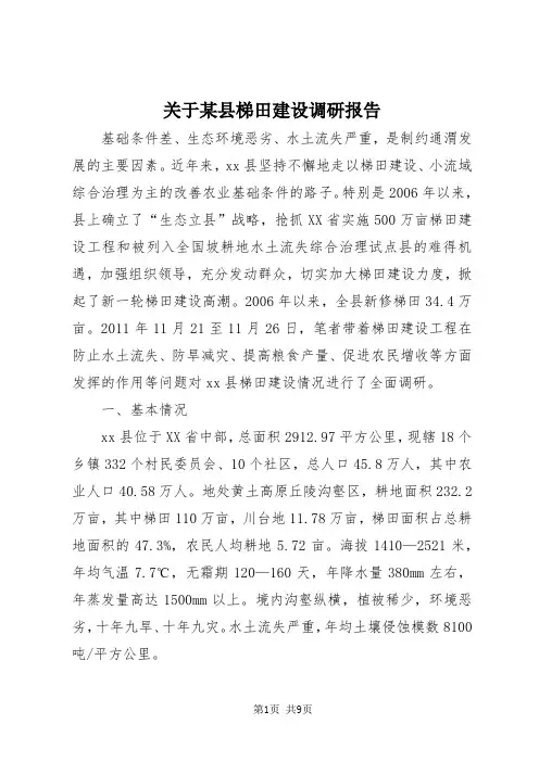 【最新】关于某县梯田建设调研报告doc