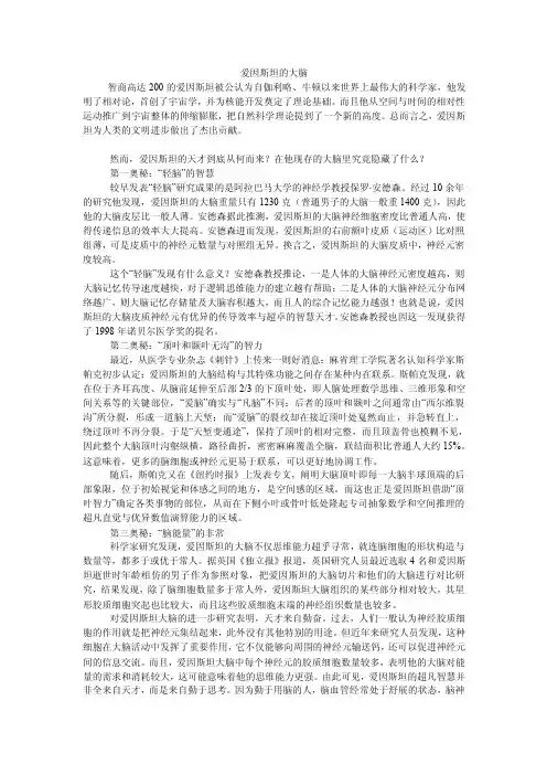 爱因斯坦的大脑
