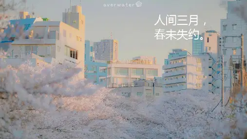 记叙文专题-词语赏析+++课件(共71张ppt)++2022-2023学年部编版语文七年级上册