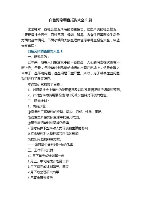白色污染调查报告大全5篇
