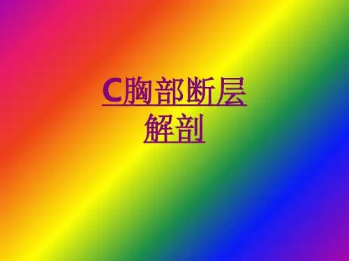 医学C胸部断层解剖专题课件