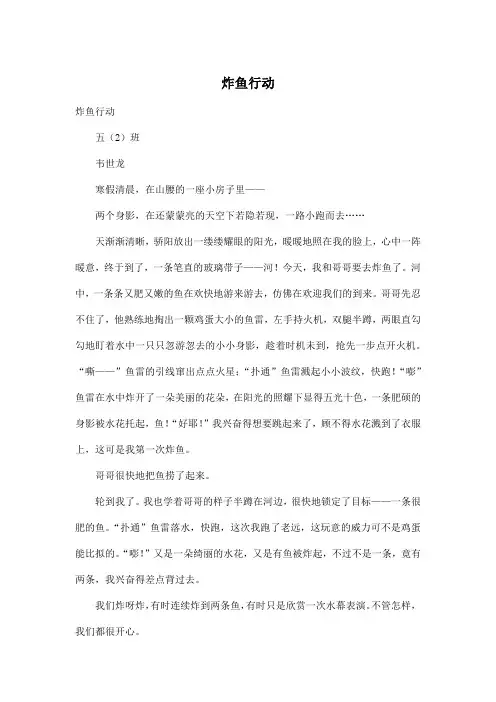 炸鱼行动_小学五年级作文800字