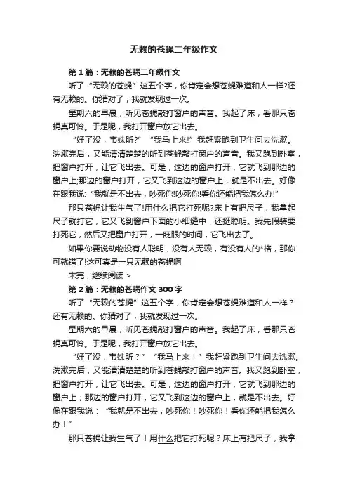 无赖的苍蝇二年级作文