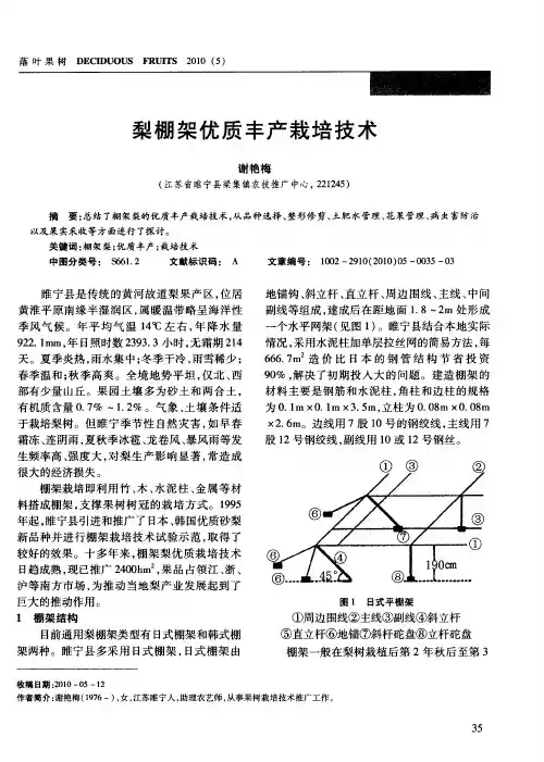 梨棚架优质丰产栽培技术
