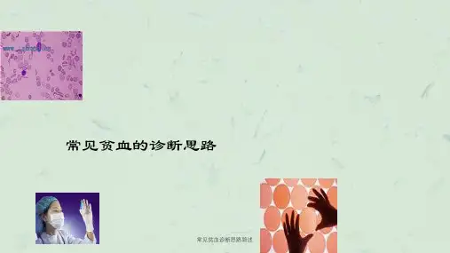 常见贫血诊断思路简述课件
