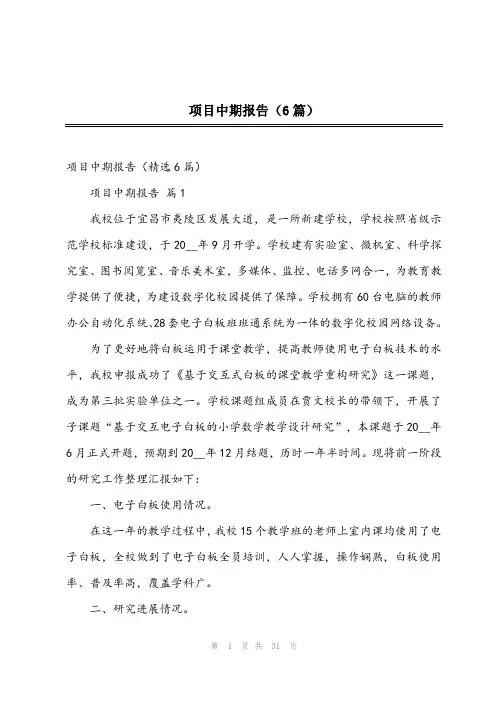 2023年项目中期报告(6篇)