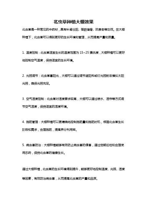 北虫草种植大棚效果