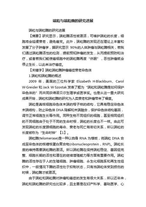端粒与端粒酶的研究进展