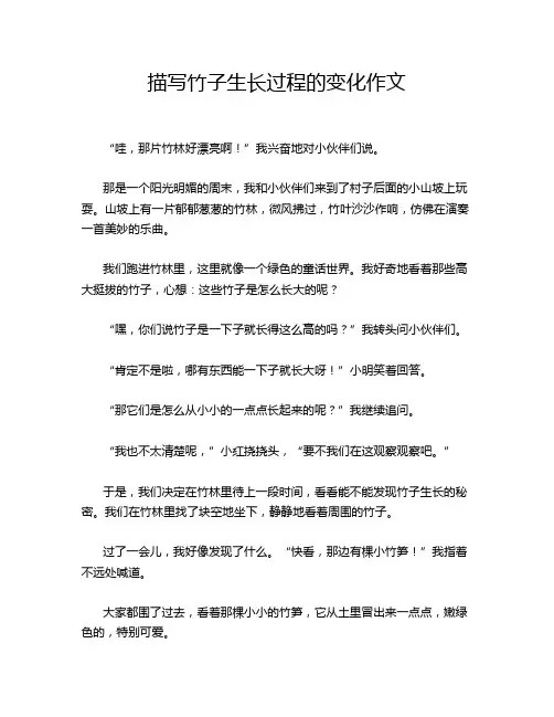 描写竹子生长过程的变化作文