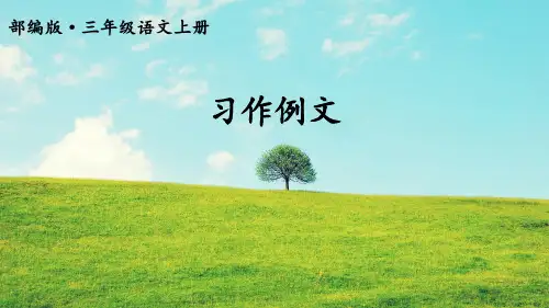 新部编人教版三年级上语文习作例文习作我们眼中的缤纷世界优质课教学课件