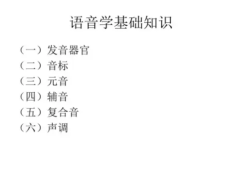 语音学基础知识 PPT课件