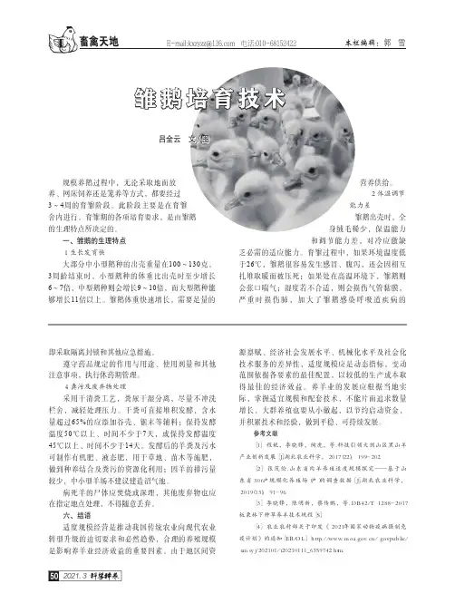 雏鹅培育技术
