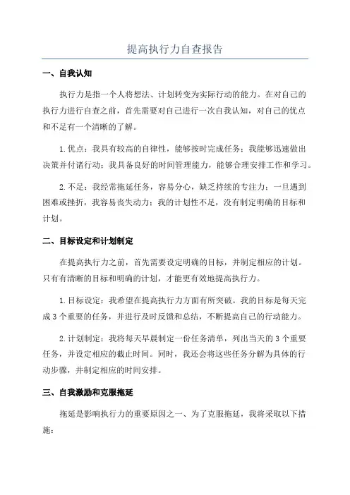 提高执行力自查报告