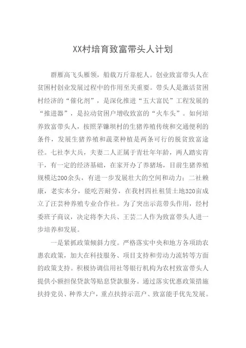培育致富带头人工作计划