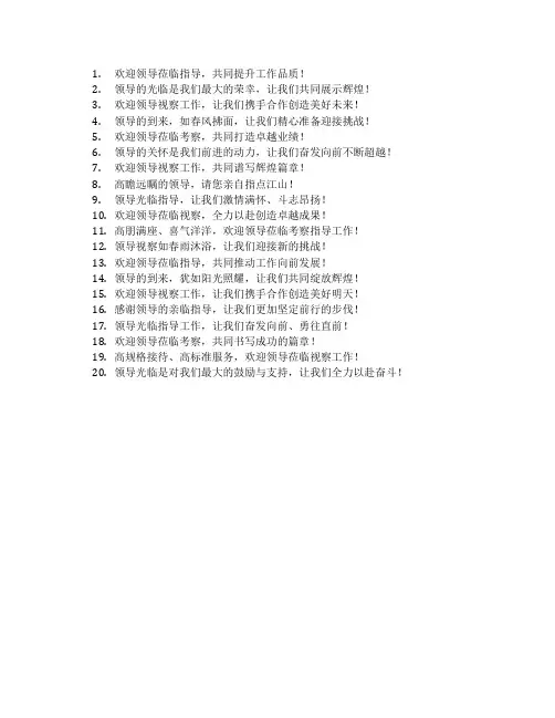欢迎领导视察工作标语