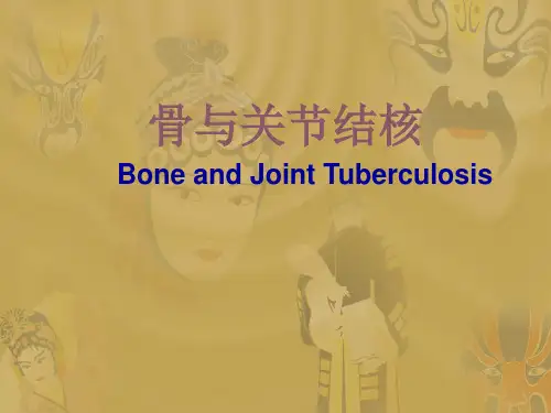 骨与关节结核PPT